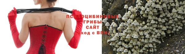 прущая мука Осташков