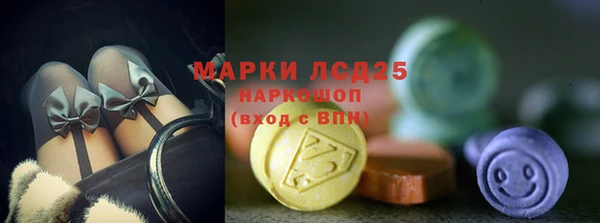дживик Осинники