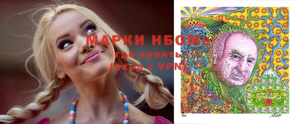 дживик Осинники