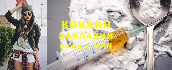 дживик Осинники