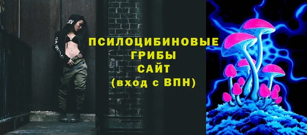 прущая мука Осташков