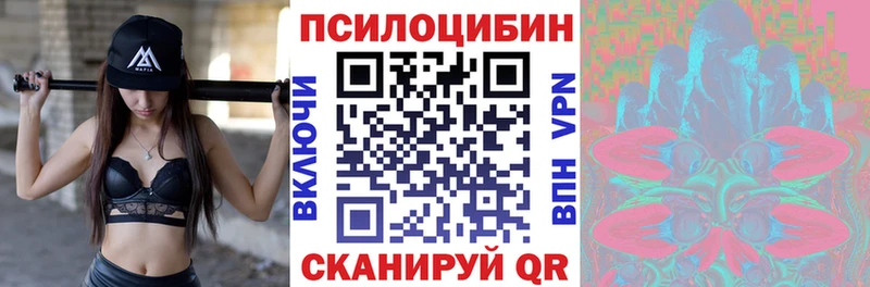 omg как зайти  Уржум  Псилоцибиновые грибы мицелий 